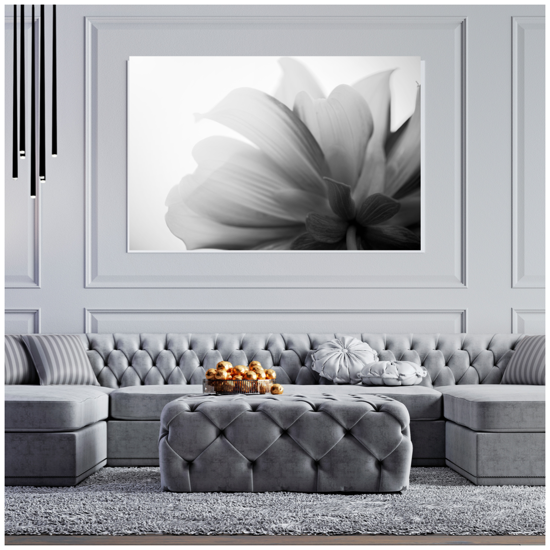 Wall Art Petal