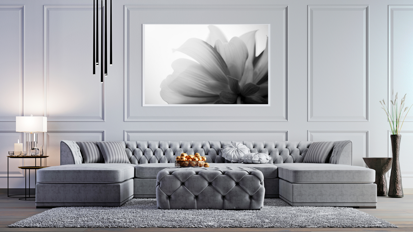 Wall Art Petal